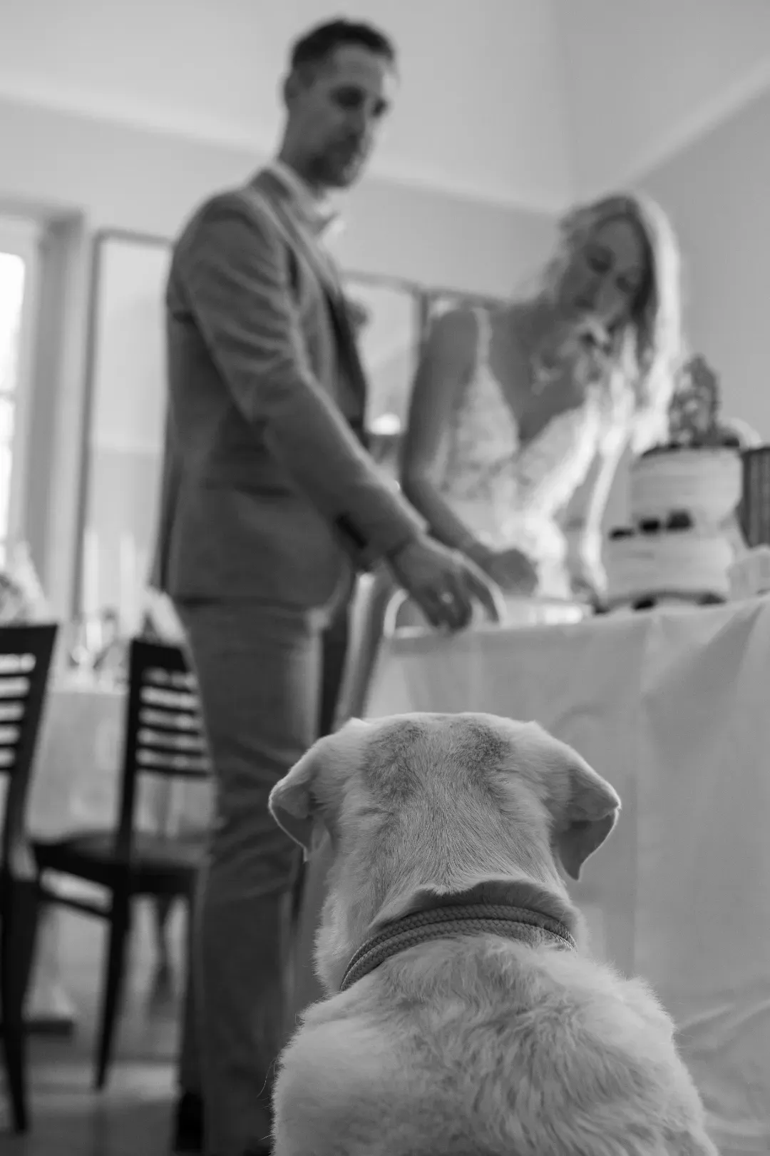 Steve Photography – JPEG Bild ergebnis